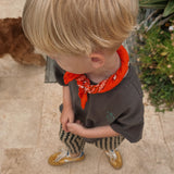 Bandana Scarf