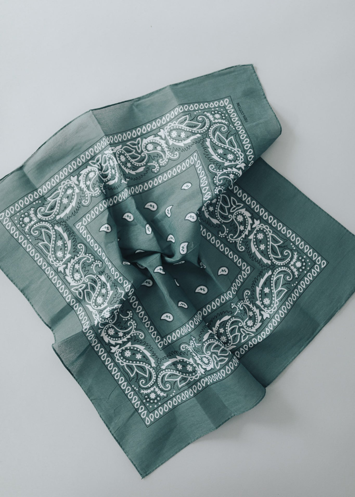 Bandana Scarf